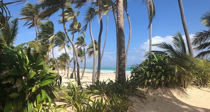 Art Villa Dominicana