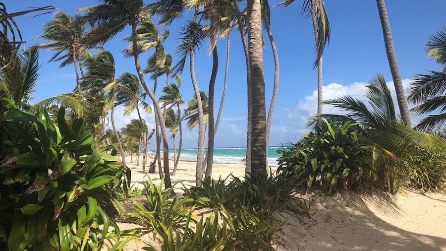 Art Villa Dominicana