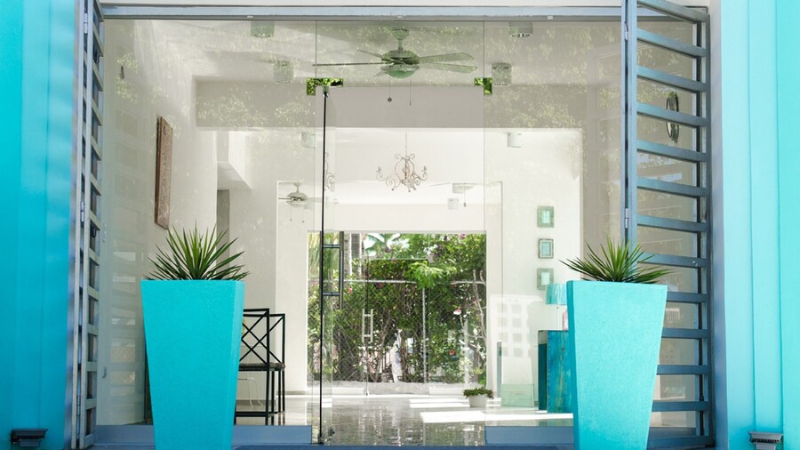 Art Villa Dominicana