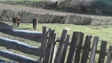 Een landelijk landschap met een houten hek, een grasveld en bomen bedekt met vorst.