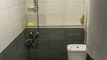 Combined shower/bathtub, deep-soaking bathtub, hair dryer, towels