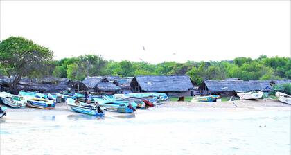 Yala Wilderness Safari Camp