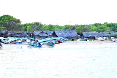 Yala Wilderness Safari Camp