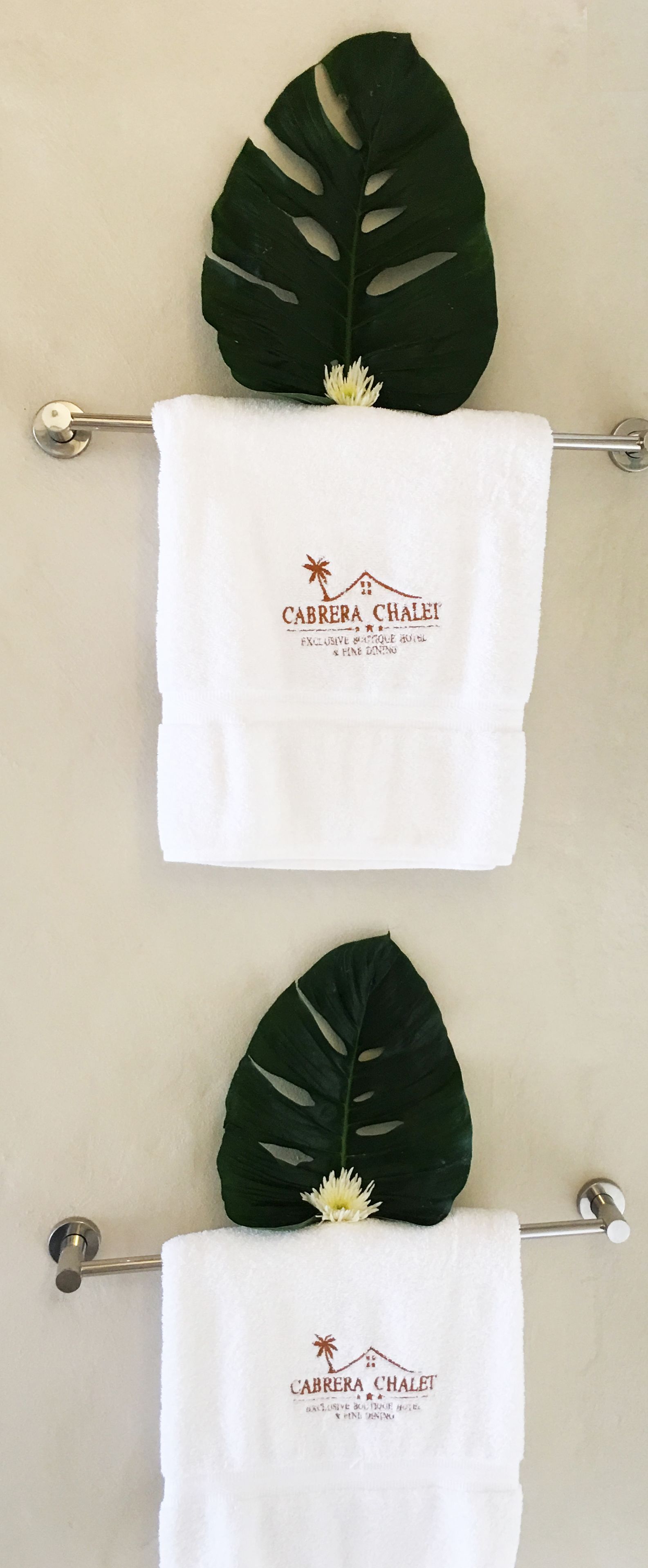 deep-tissue massages, sports massages, massages on the beach, facials