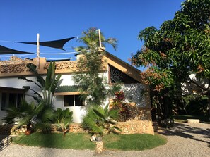 Una casa con fachada de piedra, techo inclinado y un gran árbol en el jardín delantero.