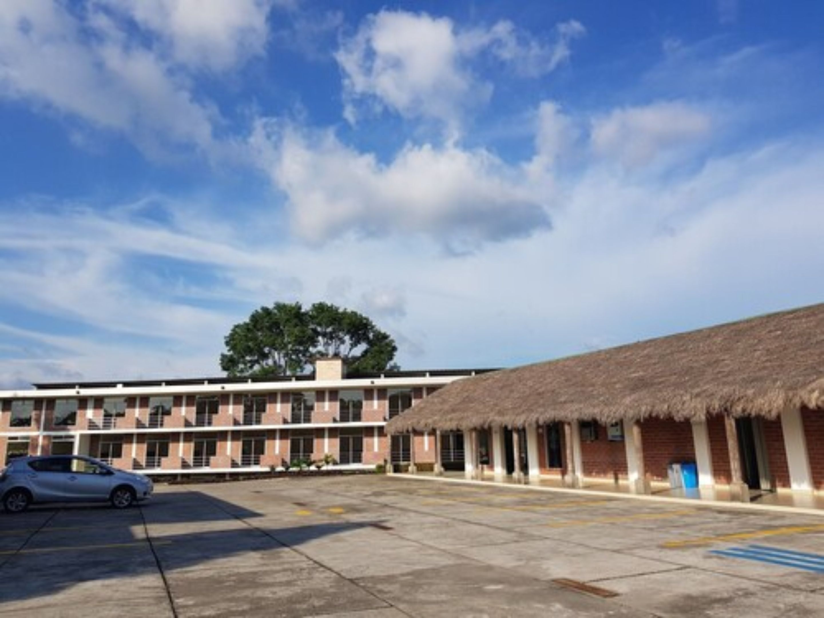 A building with a thatched-roof structure, a parking lot, and a tree in the background.