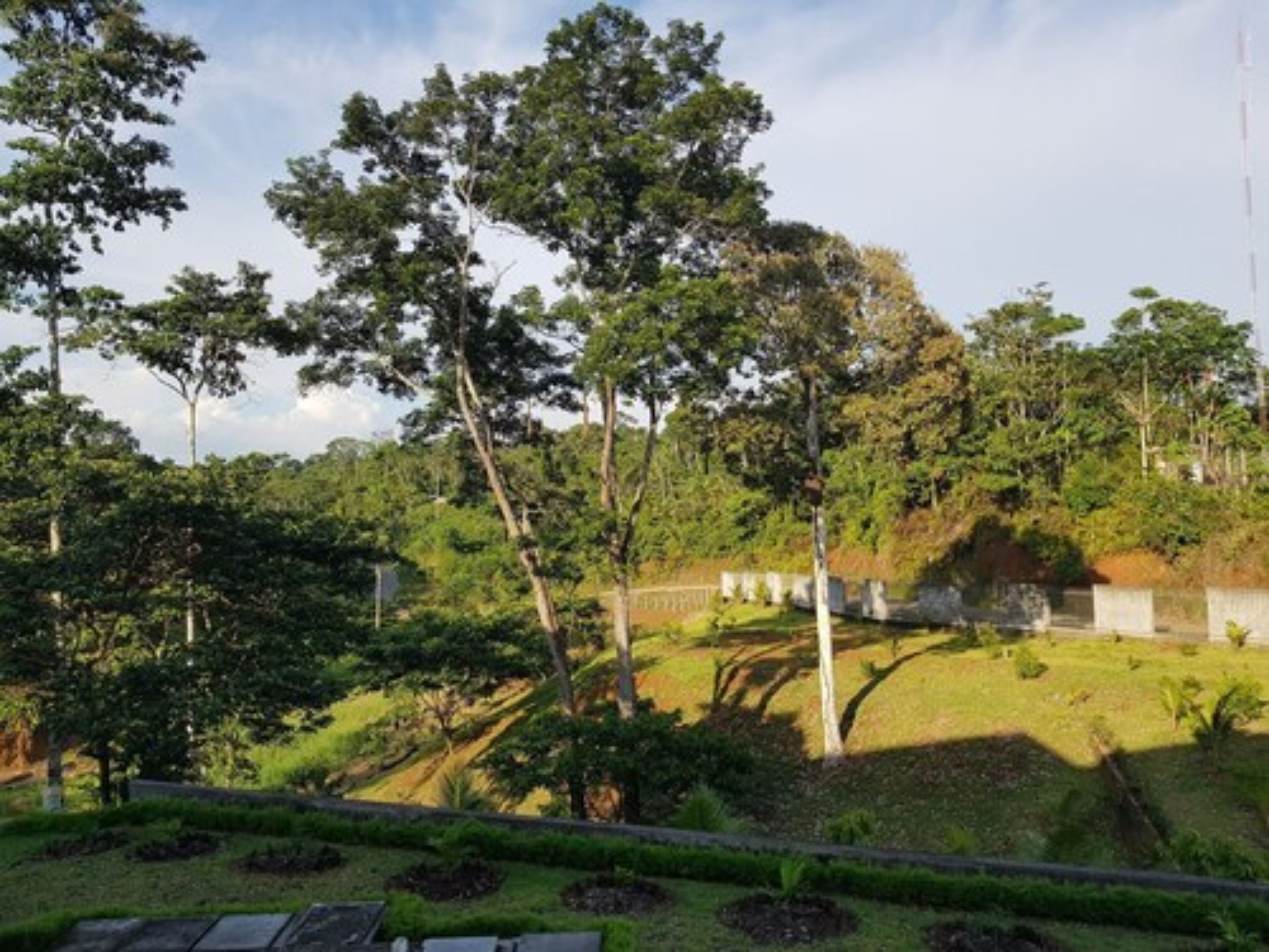 Un jardin luxuriant, avec une grande variété d’arbres et de pelouses bien entretenues.