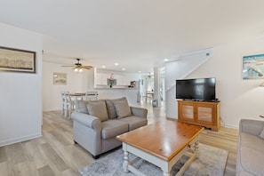 TV, fireplace, DVD player, books