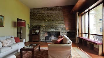 Fireplace, table tennis, books