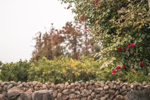 Property grounds - Private house in quite jeju village - JEJUASSI (Seogwipo-si)