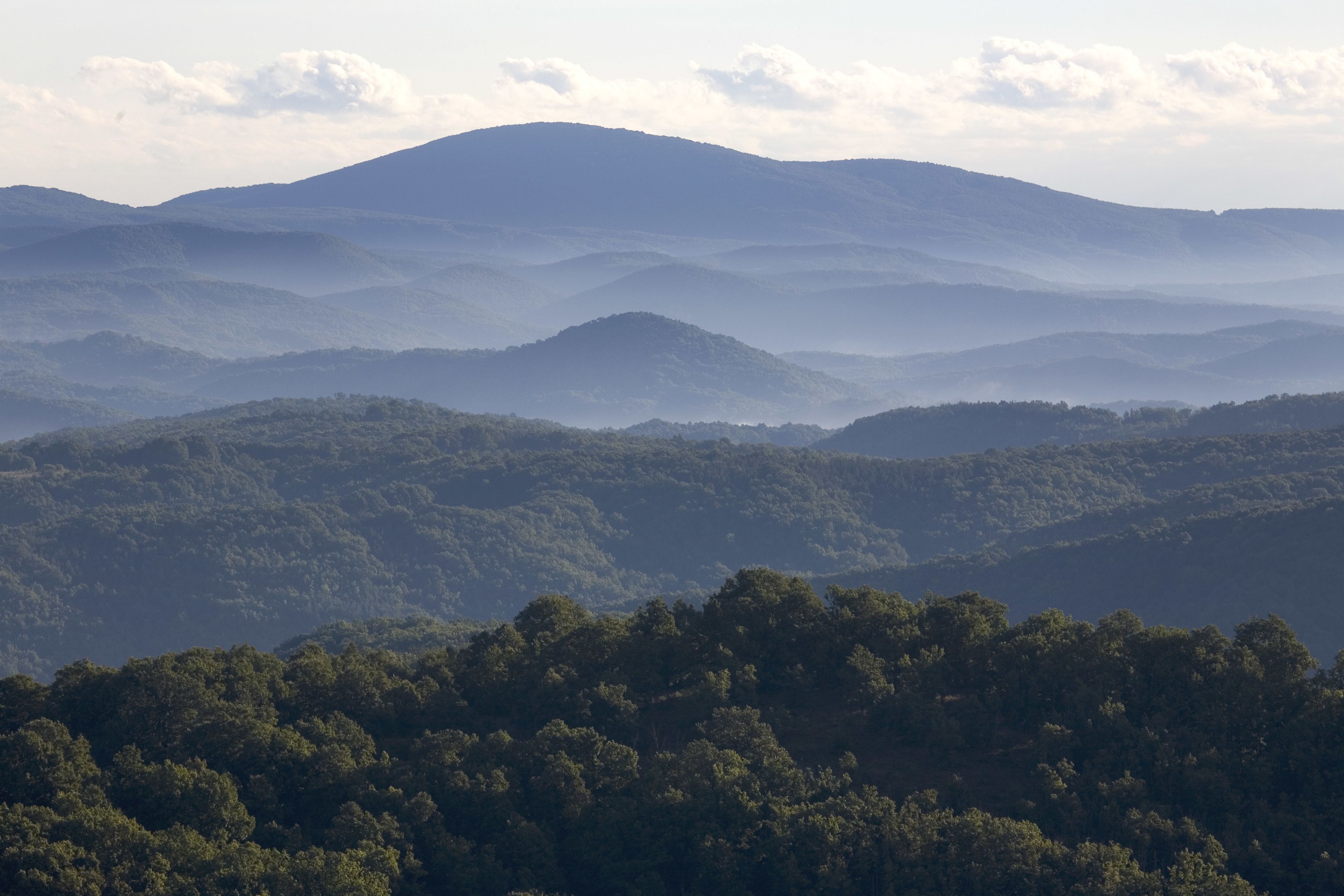 Un paisaje montañoso con bosques densos.