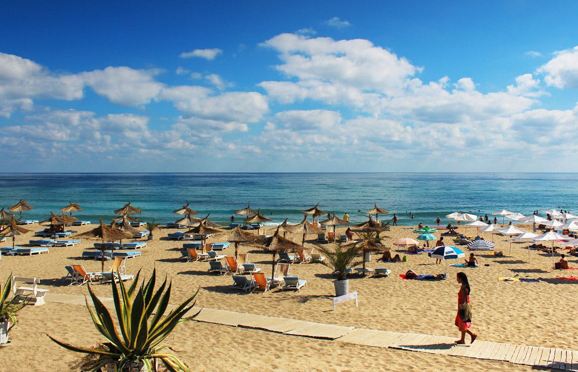 Una playa con filas de tumbonas y sombrillas, un cielo azul despejado y el océano al fondo.