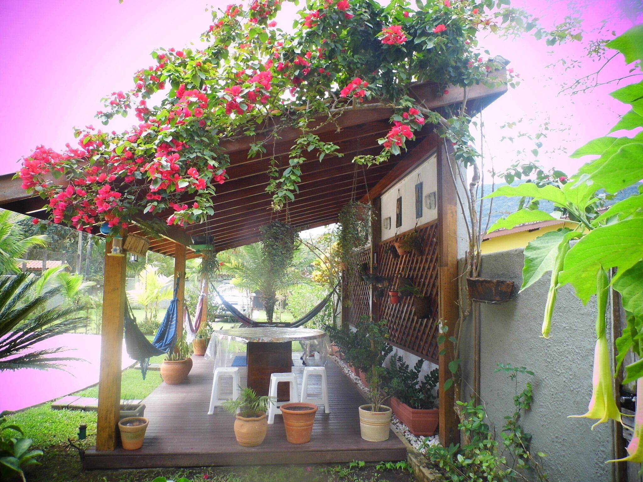 Un’area salotto esterna coperta con una pergola in legno, piante in vaso e un’amaca.