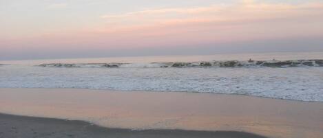 Plage à proximité, chaises longues, serviettes de plage