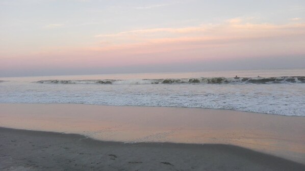 بالقرب من الشاطئ، كراسي للتشمس، مناشف للشاطئ