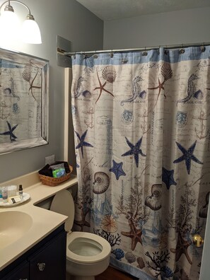 Combined shower/tub, hair dryer, towels, soap