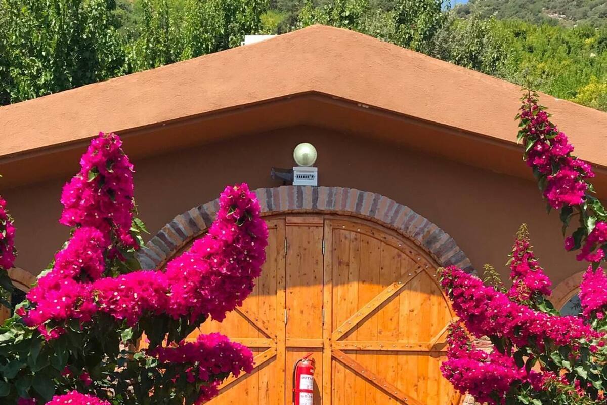 A rustic building with a large wooden door, a fire extinguisher, and vibrant pink bougainvillea flowers.