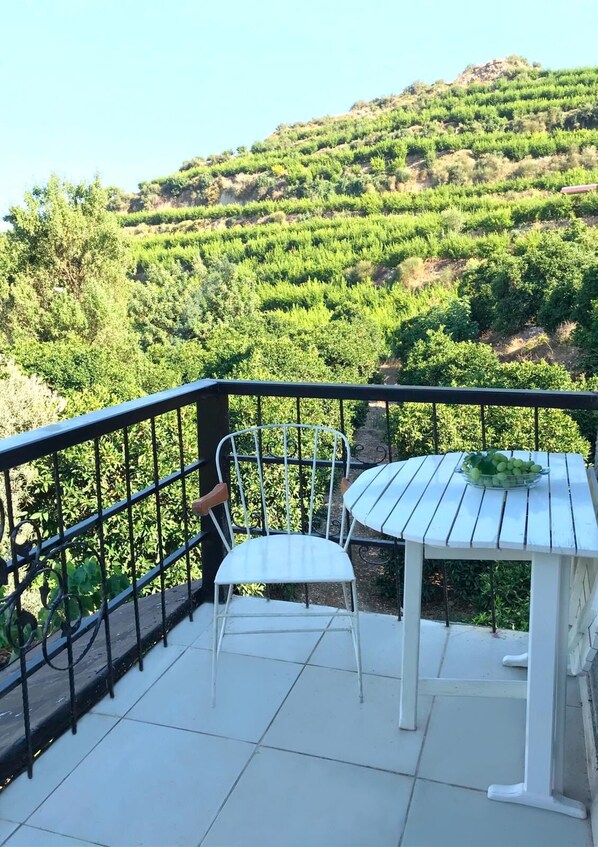 Classic-Studio, Mehrere Betten (Likya) | Terrasse/Patio