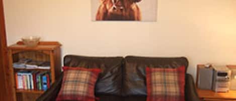 TV, fireplace, DVD player, books