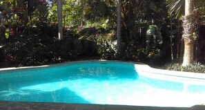 Outdoor pool - CASA CHANTECLAIR OASIS TROPICAL (PUNTARENAS)