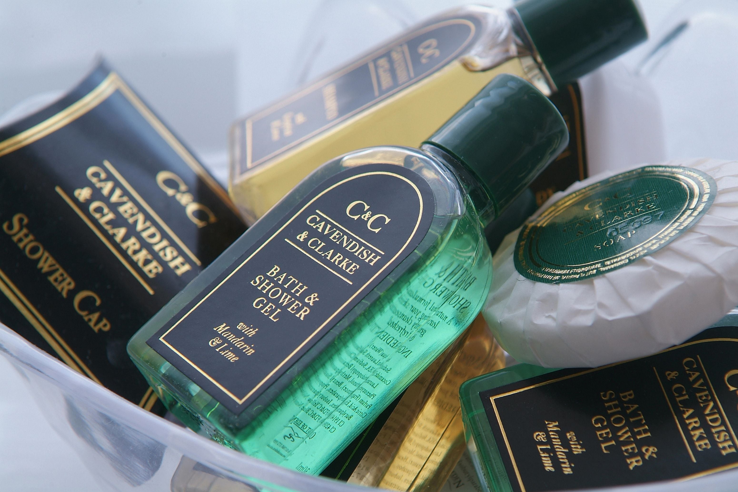 combined shower/bathtub, free toiletries, hair dryer, towels