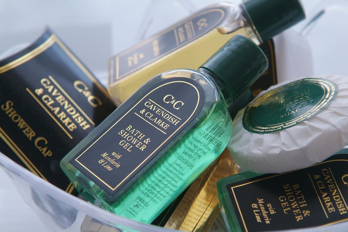 combined shower/bathtub, free toiletries, hair dryer, towels