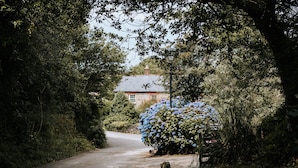 Property grounds - Converted Wheel House w/hot tub, dog-friendly - sleeps 8 (Newquay)