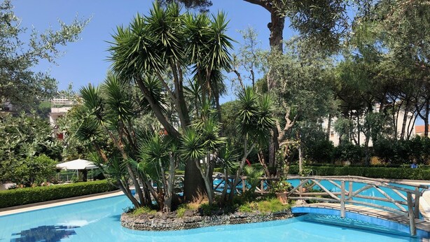 Une piscine entourée d’une végétation luxuriante et un pont en bois.