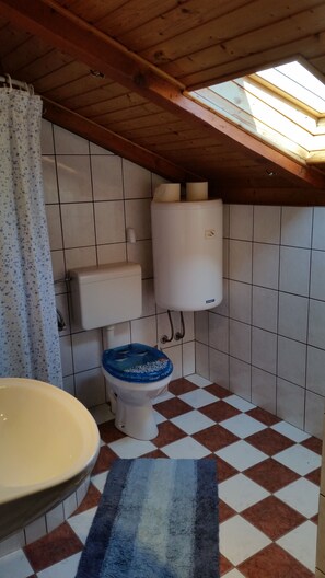 Dusche, Haartrockner, Handtücher, Toilettenpapier