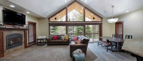 Télévision, cheminée, jeux vidéo