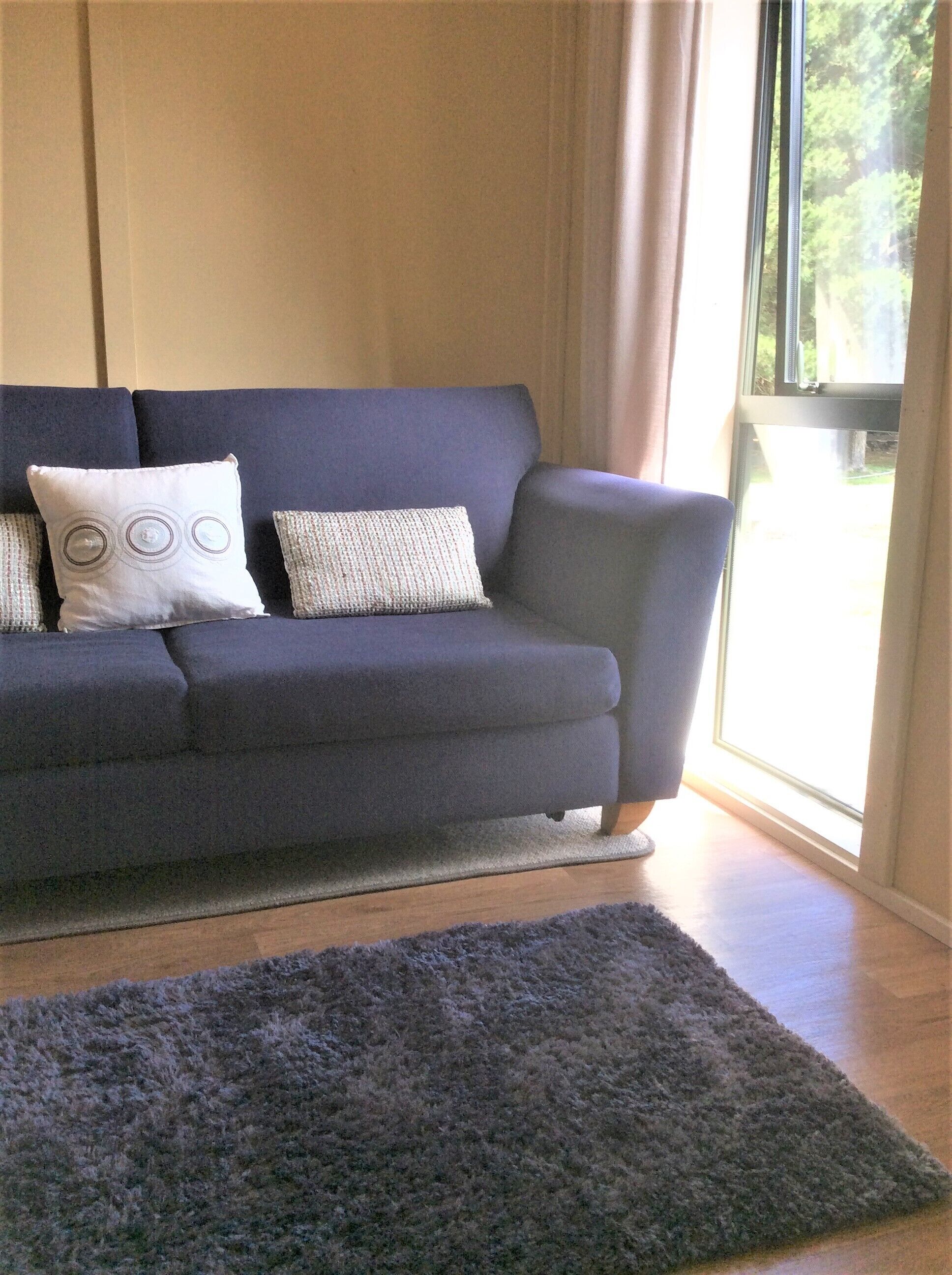 Ein modernes Wohnzimmer mit einem dunkelblauen Sofa, zwei gemusterten Kissen und einem dunkelgrauen Teppich.