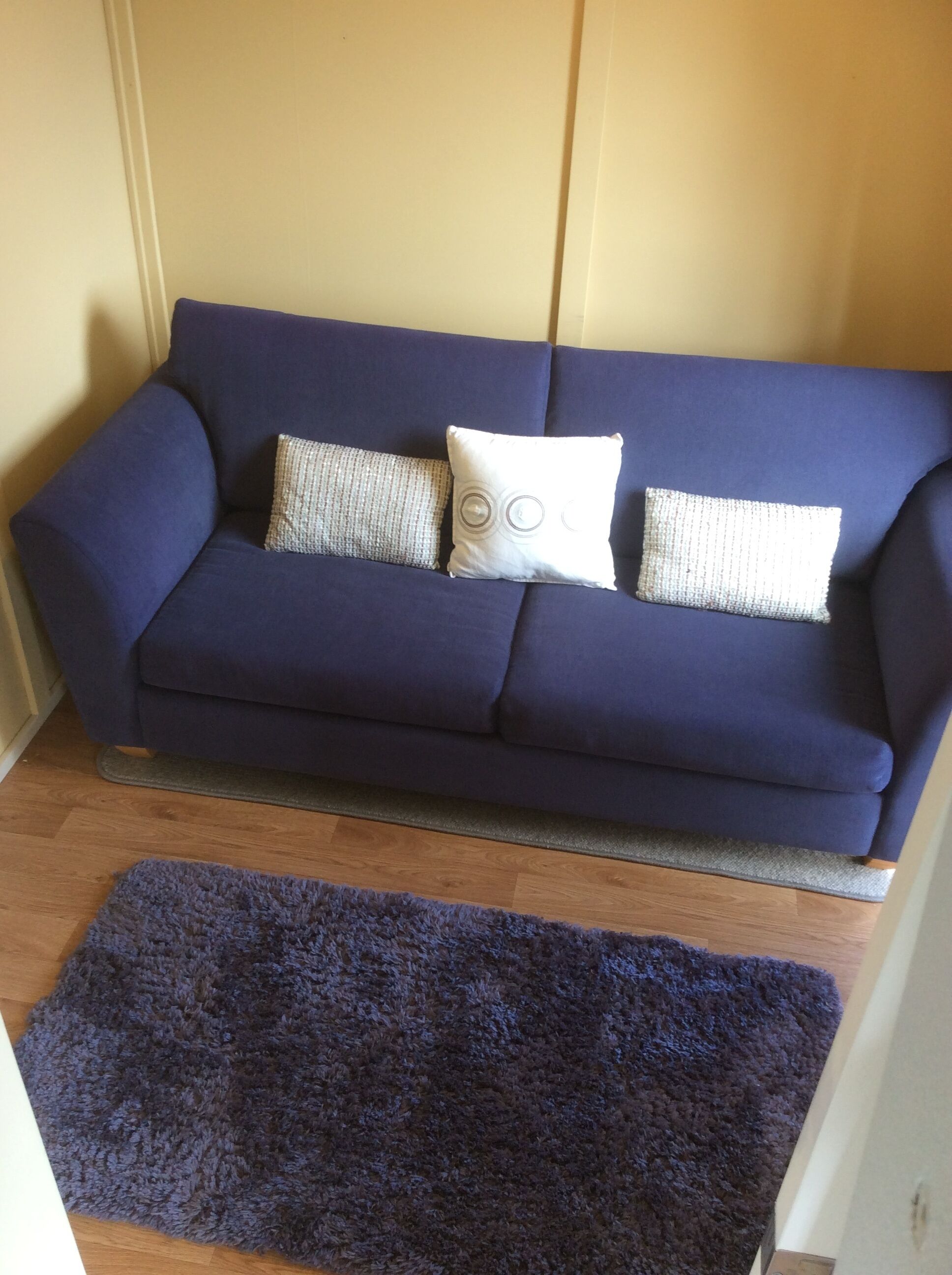 A dark blue sofa with two patterned cushions and a matching dark blue rug.