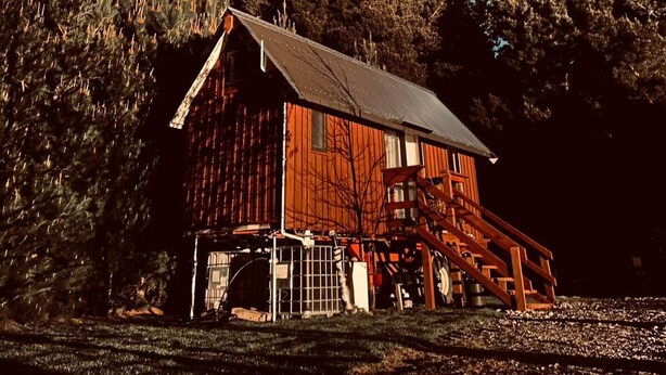 Une cabane rustique en bois, surmontée d’un toit en métal, entourée d’une forêt dense et baignée par la lumière d’un ciel étoilé.