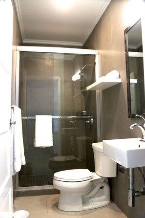 Shower, hair dryer, towels, toilet paper