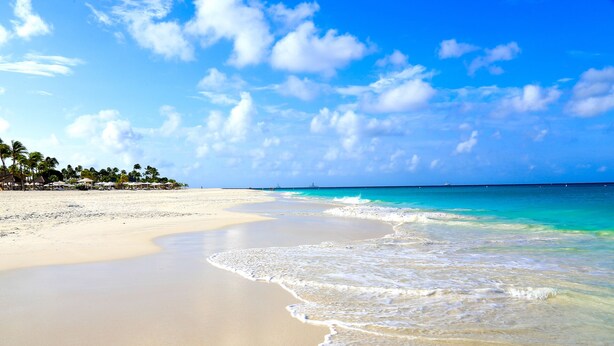 A beach with clear turquoise water, white sand, and palm trees. - Casa Alessandra 2bdr (Oranjestad-West)