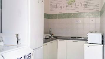 KĂŒhlschrank, Mikrowelle, Herdplatte, Wasserkocher mit Kaffee-/Teezubehör