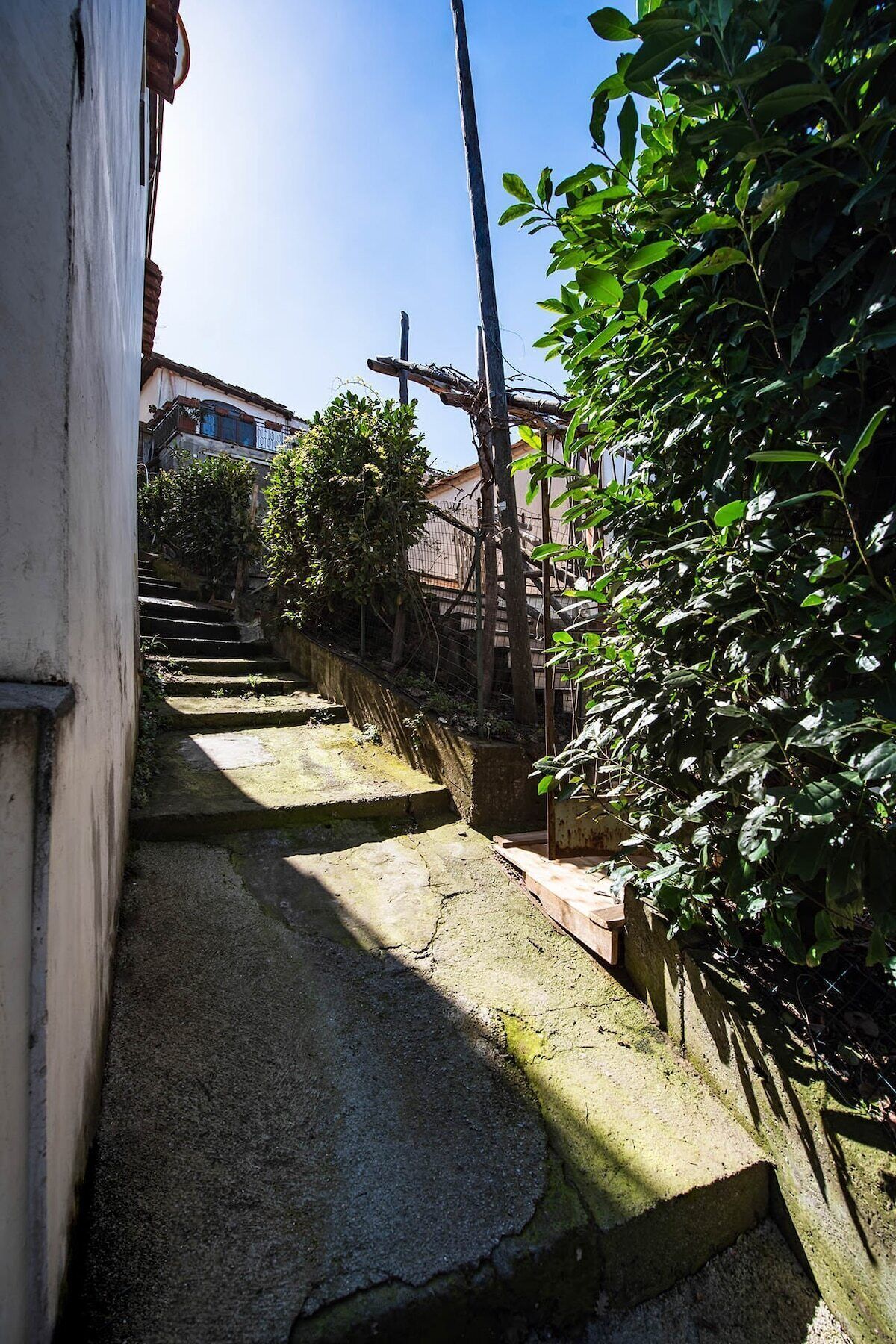Un estrecho sendero de concreto que conduce a la entrada de un edificio, rodeado de follaje y una cerca de metal.