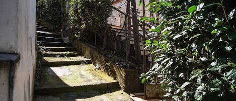 Un estrecho sendero de concreto que conduce a la entrada de un edificio, rodeado de follaje y una cerca de metal.