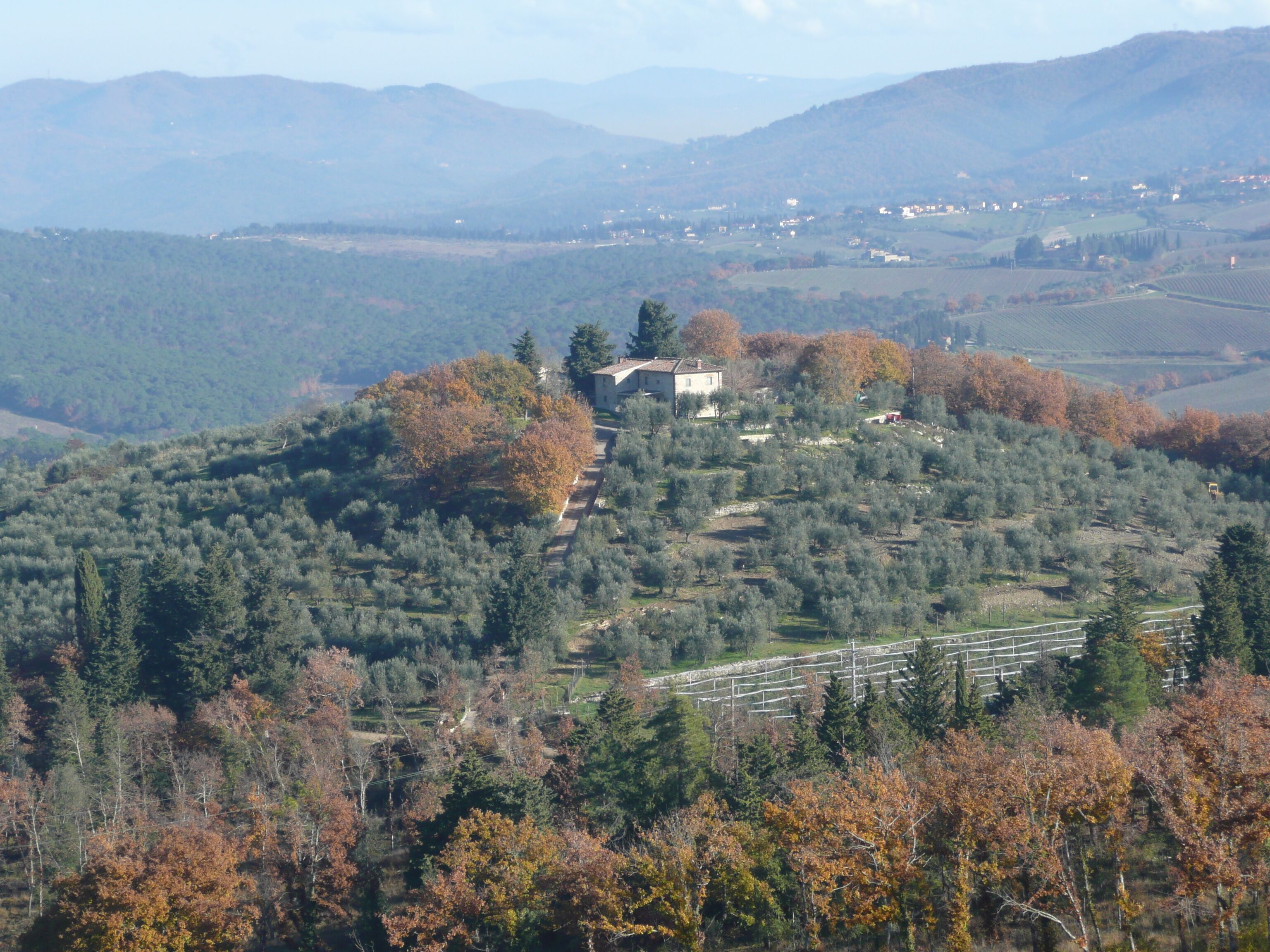 Paisagem rural com uma casa rodeada por árvores e campos, e montanhas ao fundo.