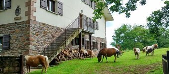 Autxikoborda II. Baztanin laakson näkökulmasta