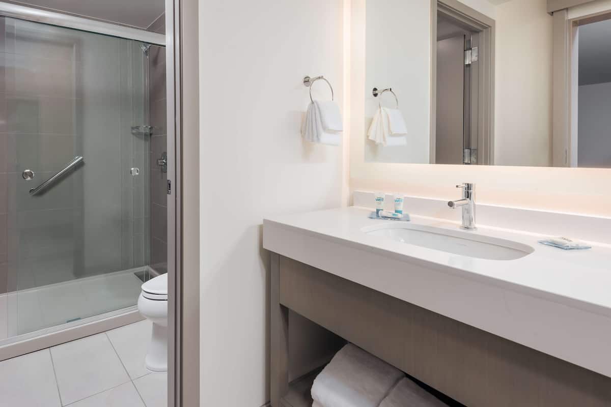 shower, designer toiletries, hair dryer, towels