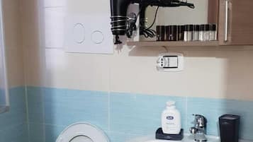 Chuveiro, secador de cabelo, toalhas de banho, papel higiênico