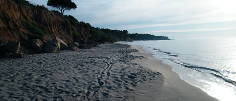 Plage à proximité