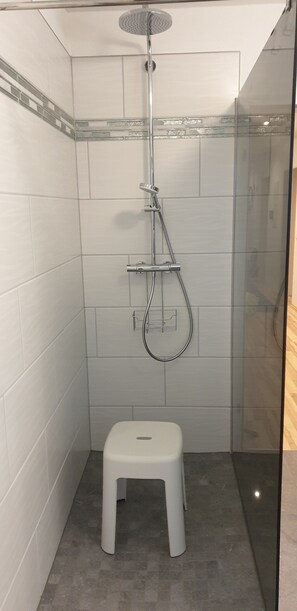 Bañera con ducha, secador de pelo, toallas, papel higiénico