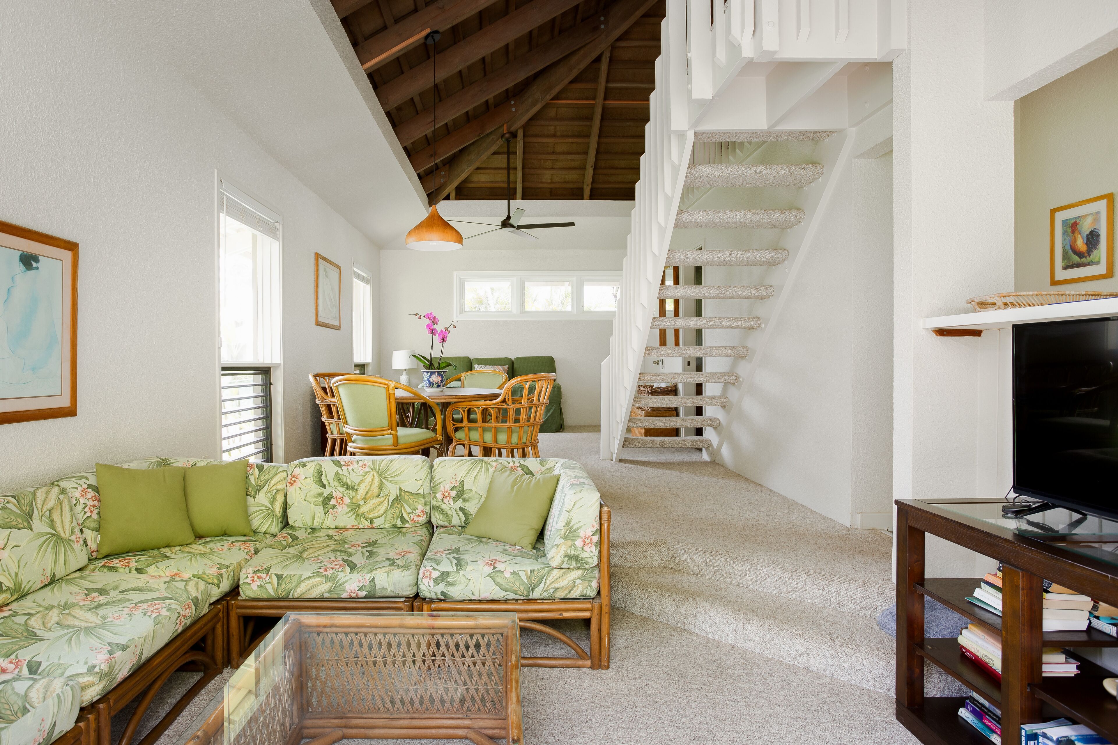 TV connectée, lecteur de DVD, livres