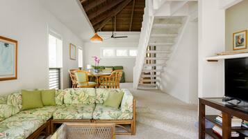 TV connectée, lecteur de DVD, livres