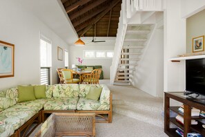 Smart TV, DVD player, books