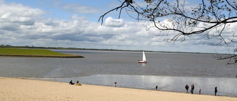 Playa en los alrededores