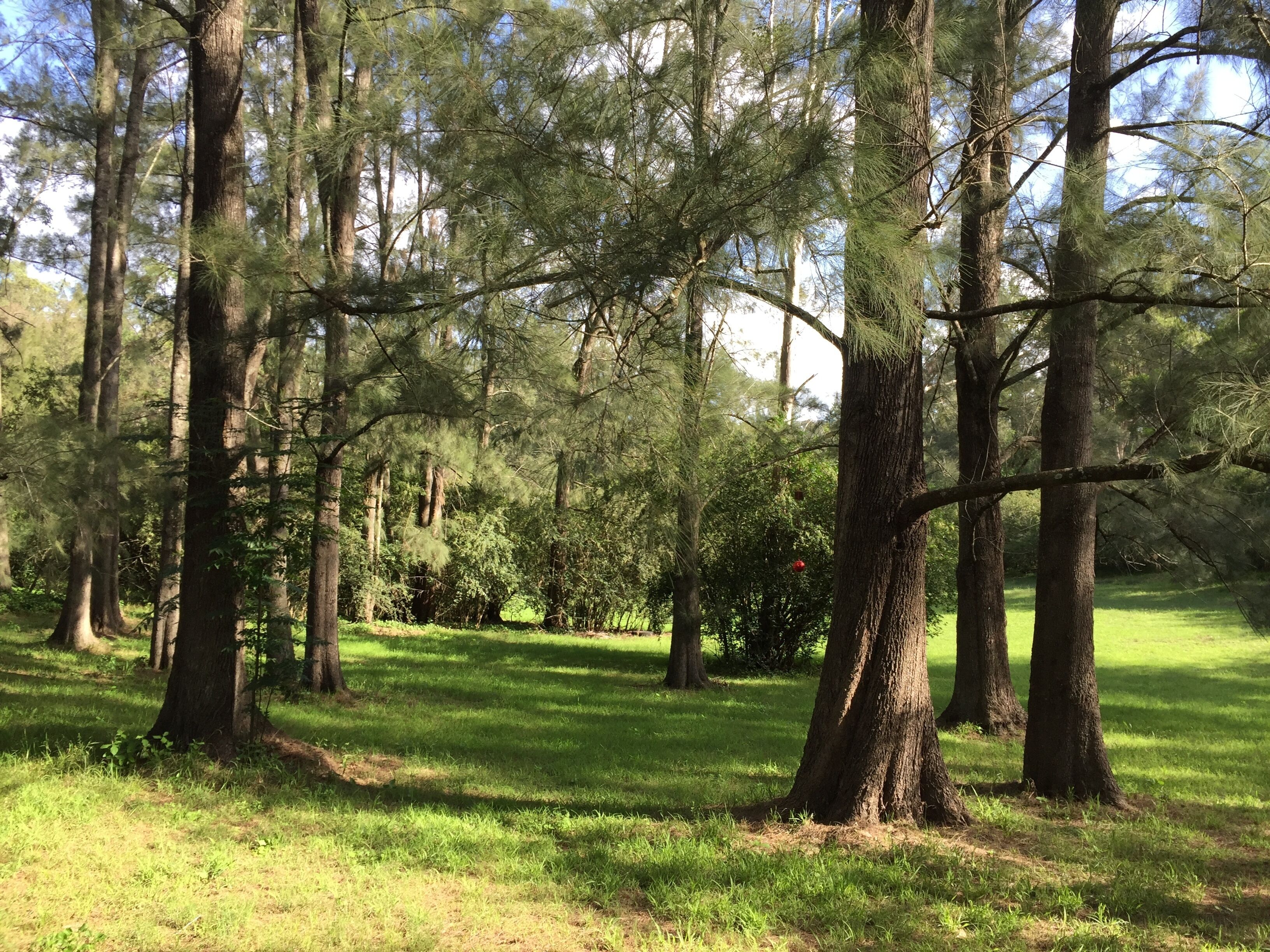 The Lodge - A Rustic Weekender in the Heart of Historic Wollombi — image 13