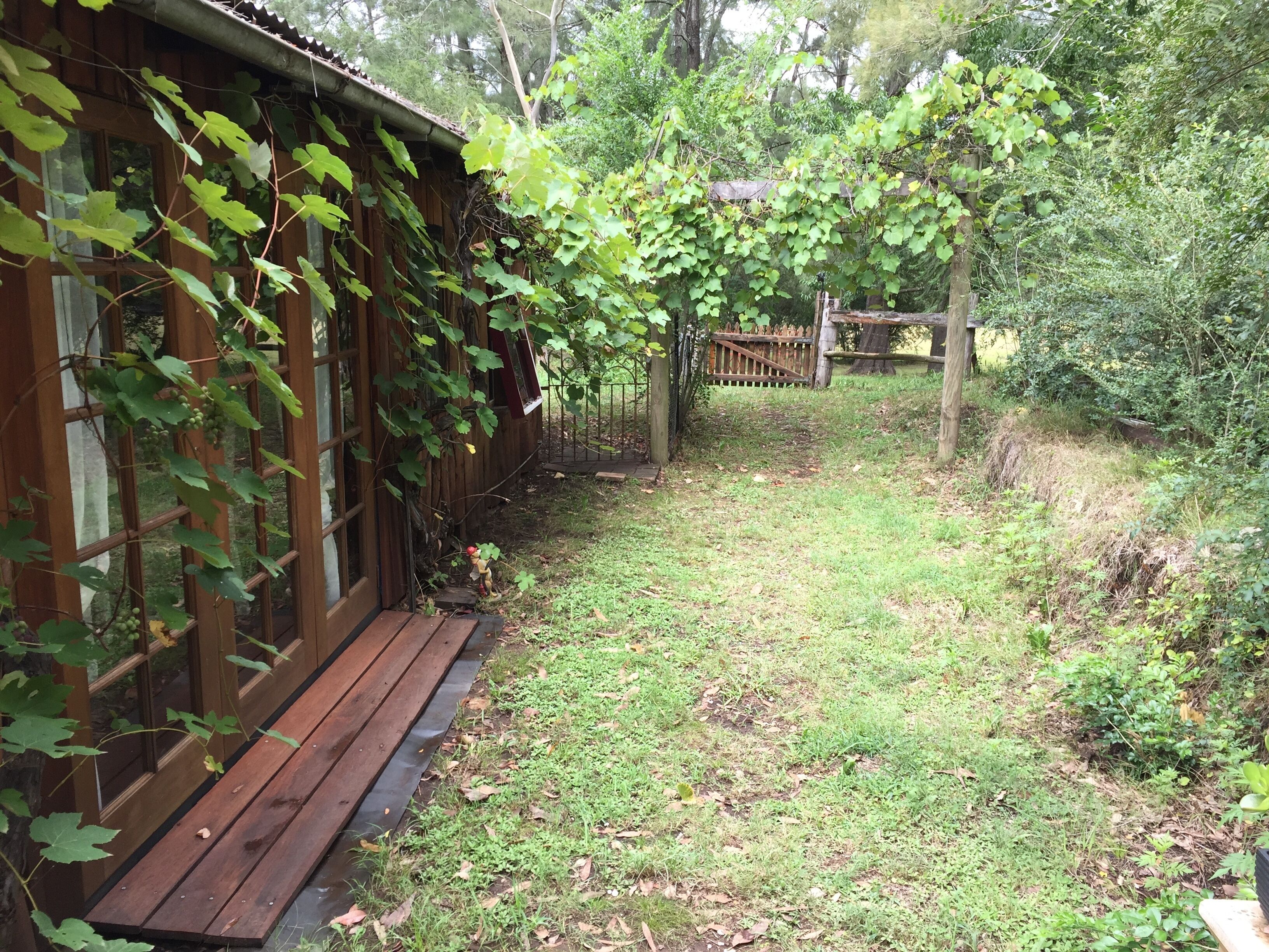 The Lodge - A Rustic Weekender in the Heart of Historic Wollombi — image 12